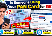 How to Find Out If Your PAN Card Is Being Misused: Complete Online Safety Guide
