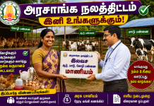Government Group Loan for Starting a Poultry Farm in Tamil Nadu 2026 – Eligibility, Loan Amount & How to Apply Online