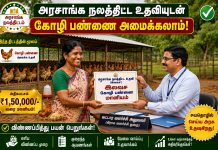Government Kozhi Pannai Scheme 2026: Government Subsidy for Poultry Farm + Up to 200 Chicks? Check Eligibility and Apply Online